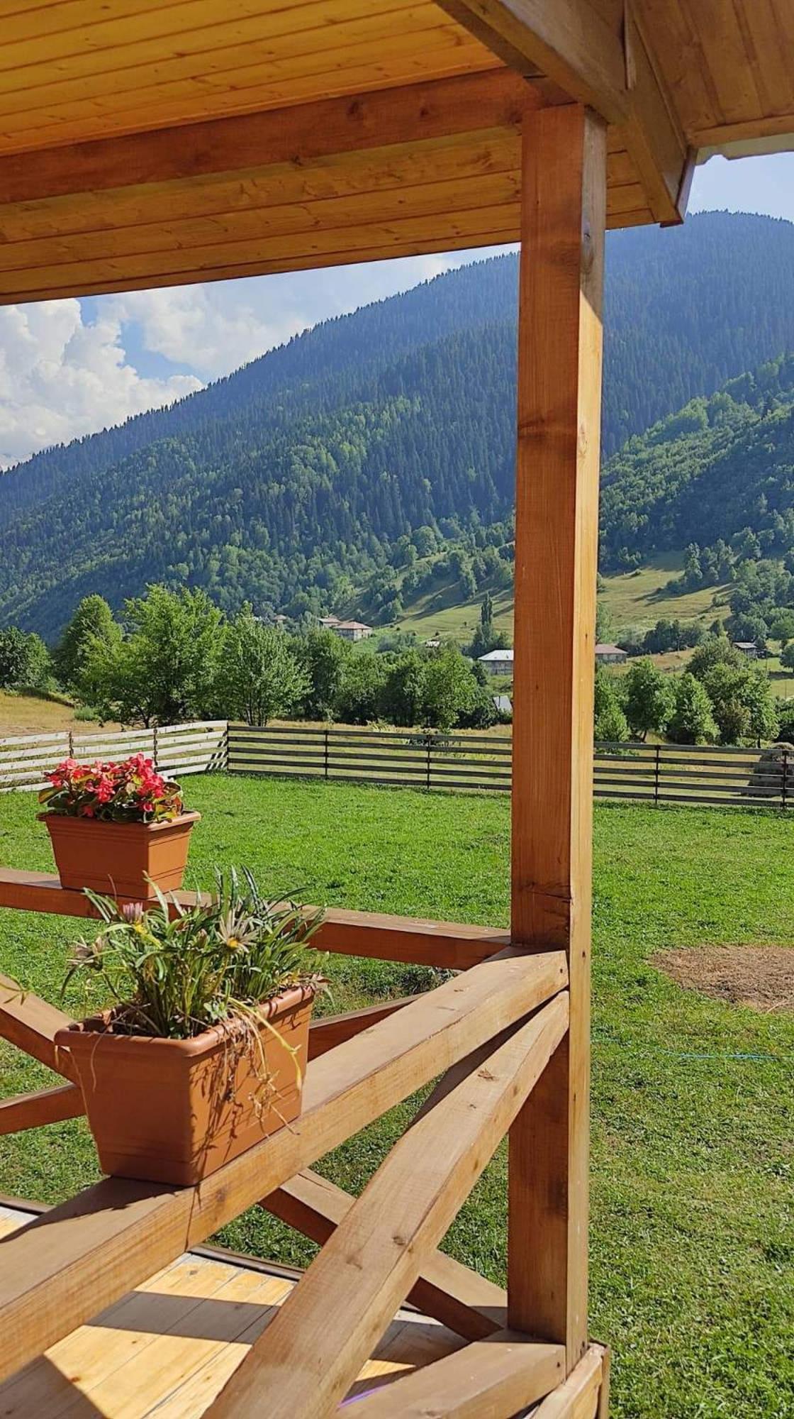 Hotel Ushba Hill Местія Екстер'єр фото