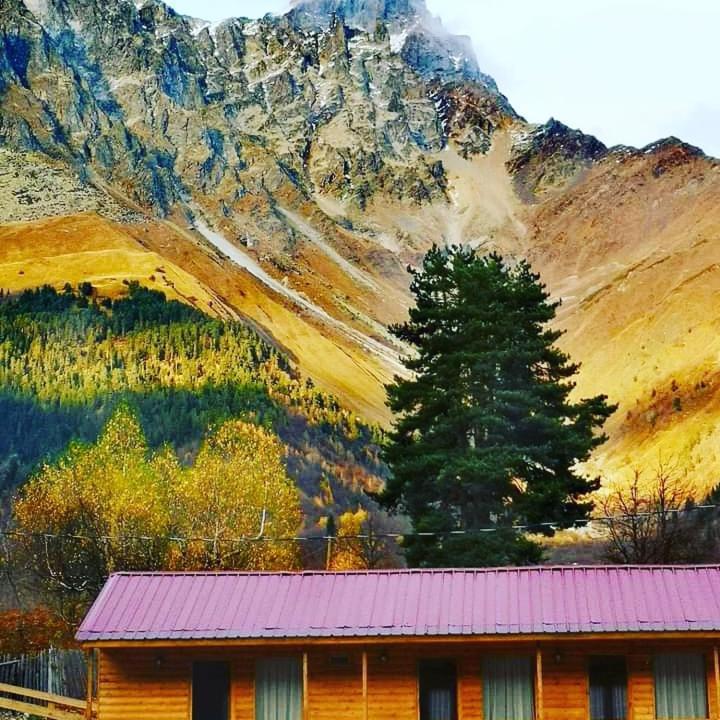 Hotel Ushba Hill Местія Екстер'єр фото