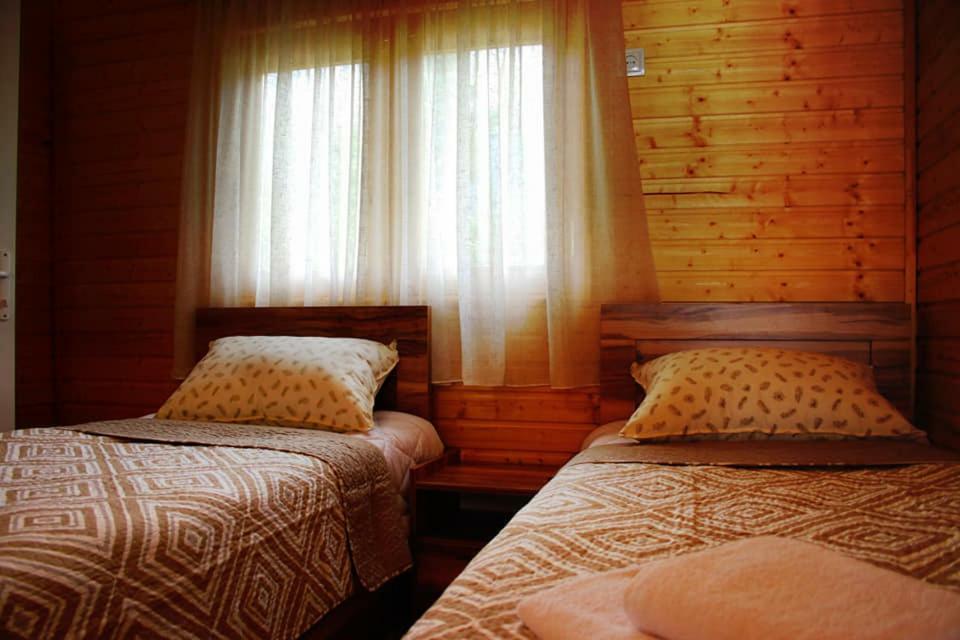 Hotel Ushba Hill Местія Екстер'єр фото